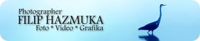 Filip Hazmuka - photographer